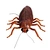 animated crawling cockroach prop
